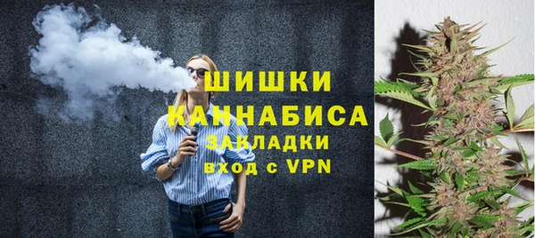 шишки Белоозёрский