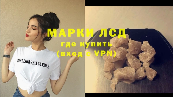 шишки Белоозёрский