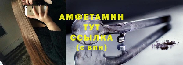 шишки Белоозёрский