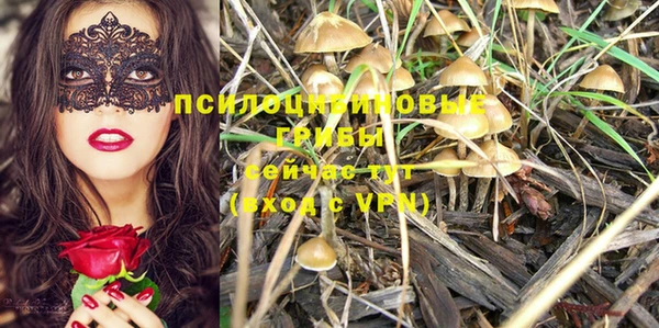 марки nbome Белокуриха