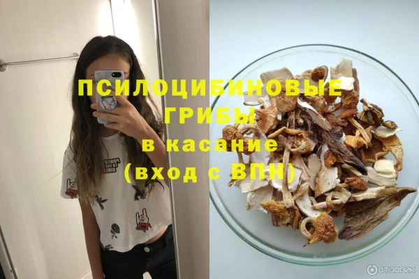 марки nbome Белокуриха