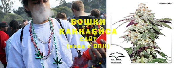 шишки Белоозёрский