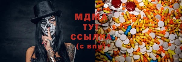 шишки Белоозёрский