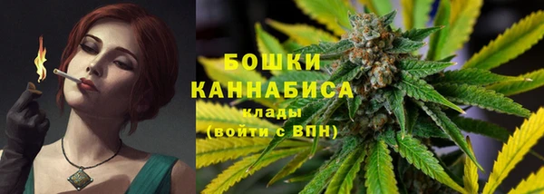 шишки Белоозёрский